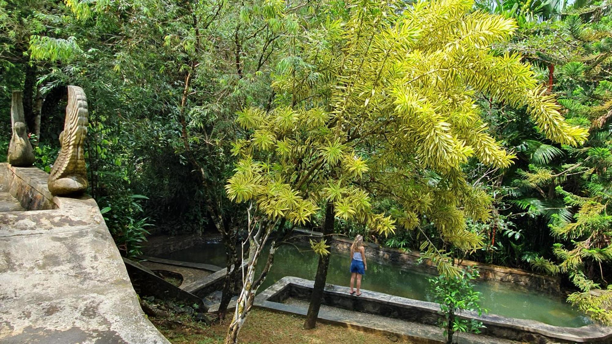 Singharaja Garden Agro Eco Lodge Pelawatta  Ngoại thất bức ảnh