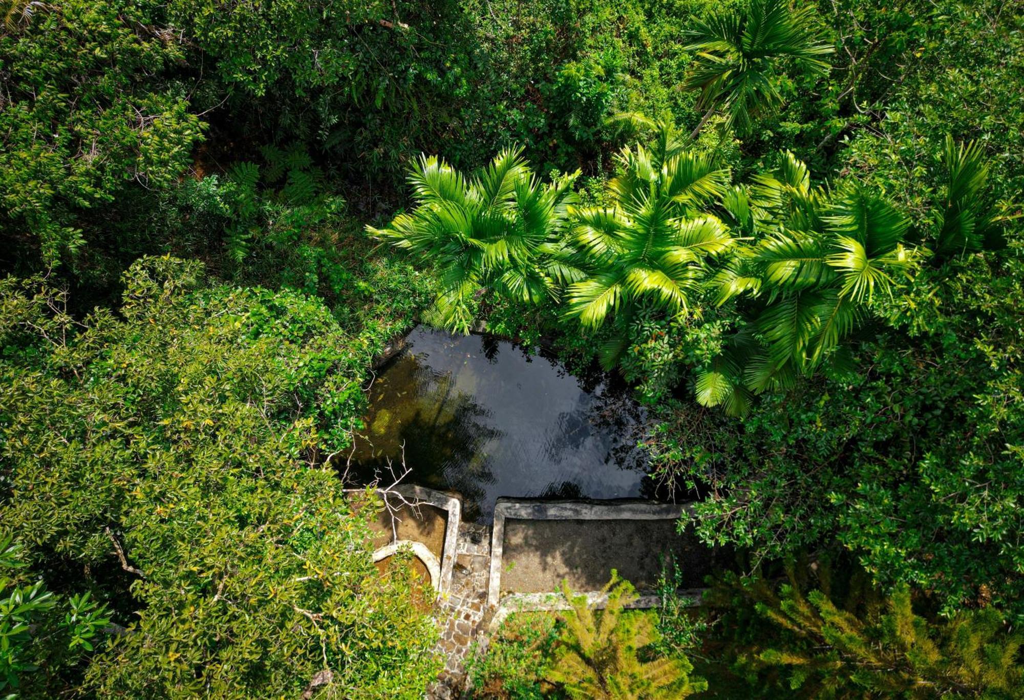 Singharaja Garden Agro Eco Lodge Pelawatta  Ngoại thất bức ảnh