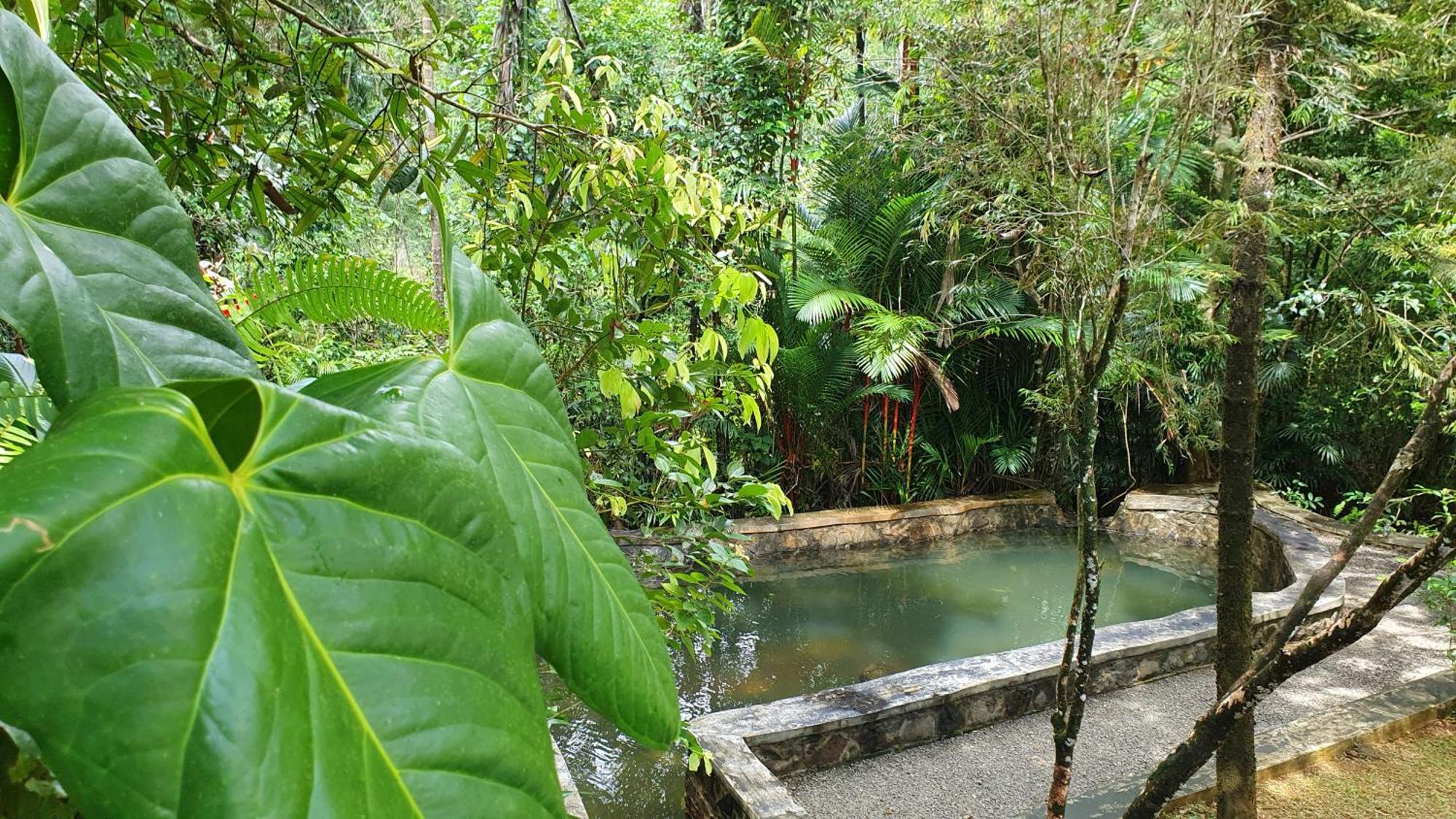 Singharaja Garden Agro Eco Lodge Pelawatta  Phòng bức ảnh