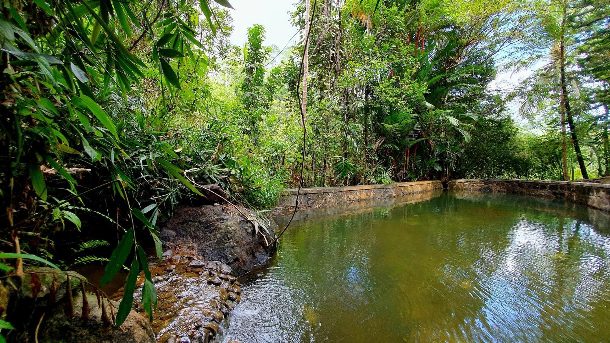 Singharaja Garden Agro Eco Lodge Pelawatta  Phòng bức ảnh